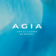 The AGIA Allowlist Collection