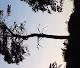 Shroomstep's Photography - old