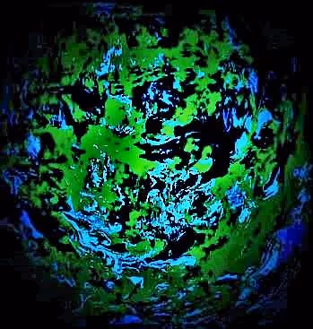 Muddy Global NFT's