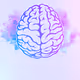 Brain Collection V3 - old
