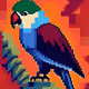 The Parrot Dudes - old