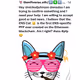 ENS Cats and FNHH