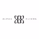 Alpha Flyers Pass