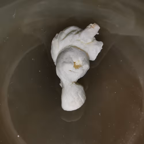 Popcorn Vibes