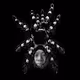 the great magician tarantula - old