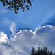 My Head in the Clouds