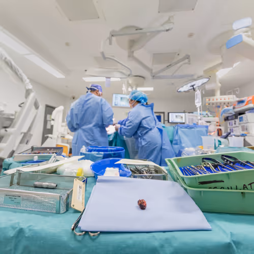 It's not rocket science; it's brain surgery.