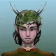 The Enchanteds of Enchanted Valley