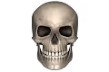 Bitcoin Skulls