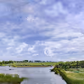 AI Created Pictures