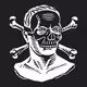 VANDALS UNION SUPPLY GOODS