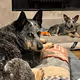 Sasha & Cooper - old
