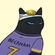 Football Fans Cats