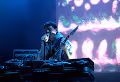 Panda Bear