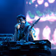 Panda Bear