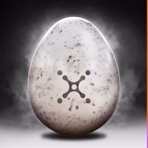 eggomigos