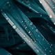 Drops of Nature