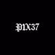 P1X37