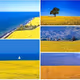 My native Ukraine.