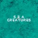 Sea Creatures from the Sky