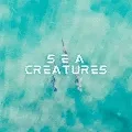 Sea Creatures from the Sky