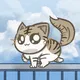 Cat's Neighbor