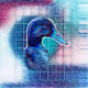 Cosmic Ducks Universe
