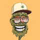 Hydroponic Collection
