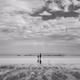 Black and White Beach Life