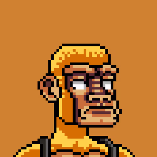 PUBLIC MONKEY #511