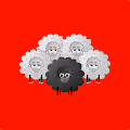 BLACK SHEEPZ CREW