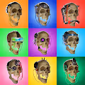 Cyber Skullz
