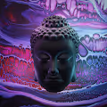 METABUDDHA: Neon Collection