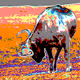 Stylish Bullish Collection