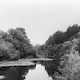 Noir Channel