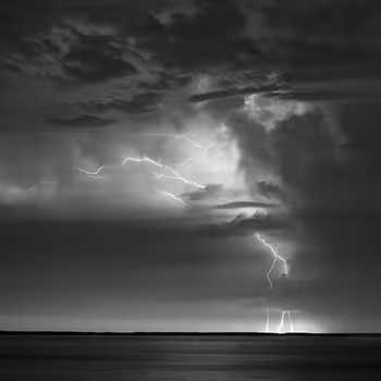 Karl Seifert: Black & White