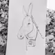 Streetdonkey