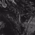The Devil is in the Details