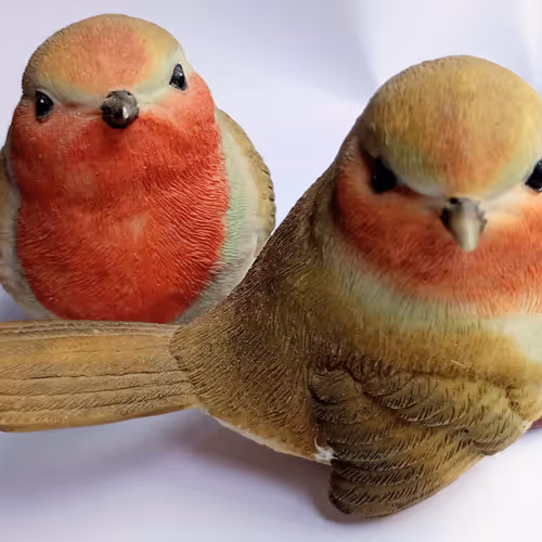Robin NFT Collection