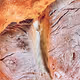 Breads