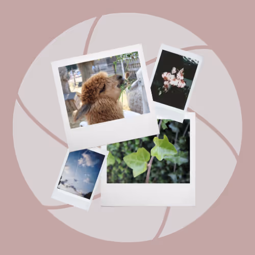 second things from my life