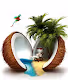 caribbean NFTs