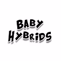 Baby Hybrids - old