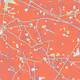 Colorfulcitiesmaps