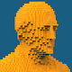 Voxel Faces