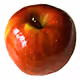 The Old Apple Project - old