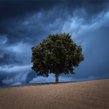 FELIX INDEN X M3MBRS ONLY