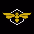 HIVE Boards
