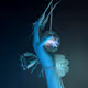 Blue Veil by Brandon Blommaert