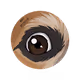 Bearsskills